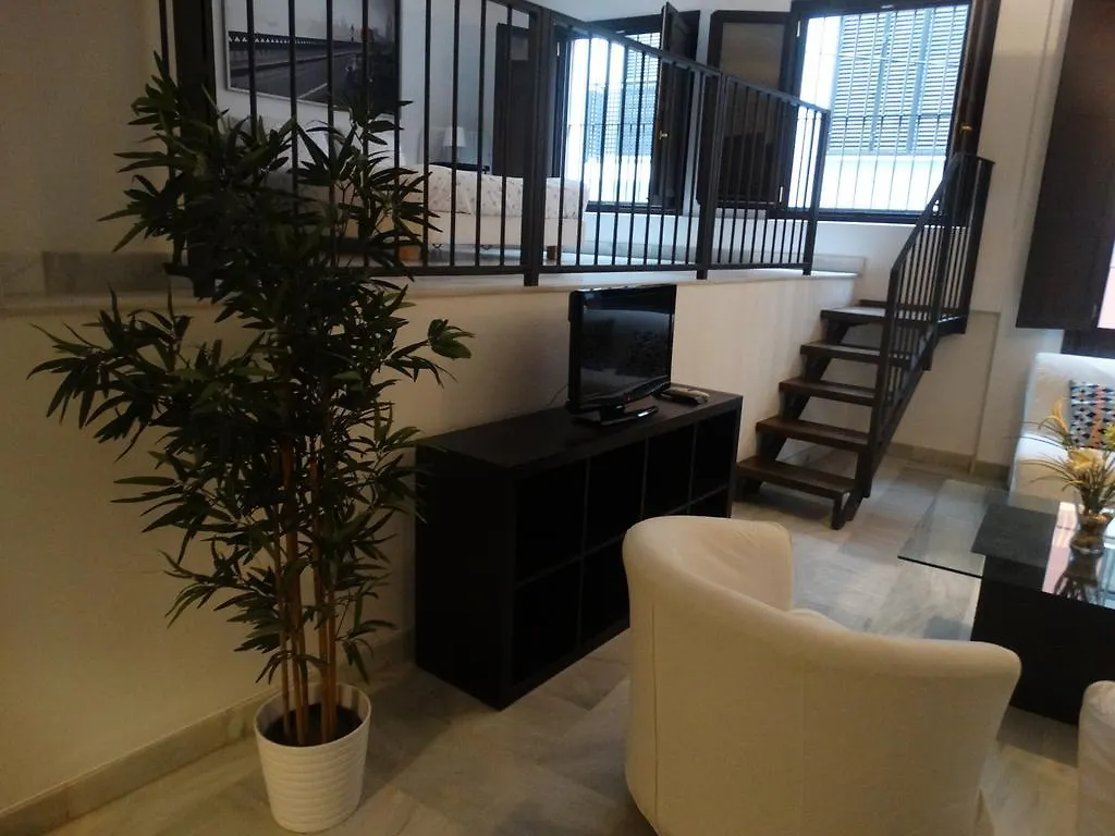 Malaga Apartamentos - Jinetes, 13 0*,  Spain