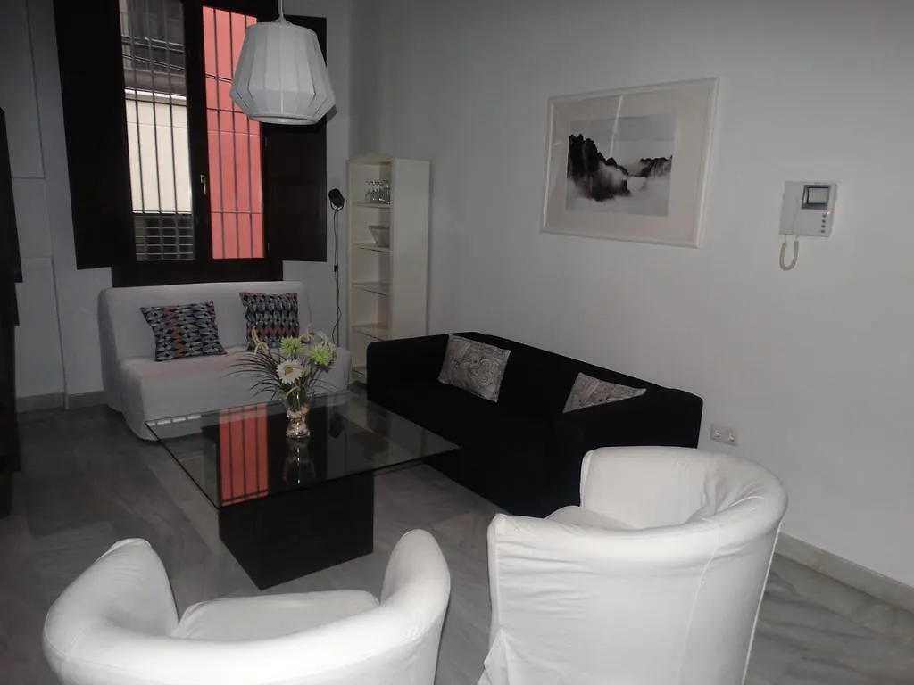 Apartament Malaga Apartamentos - Jinetes, 13